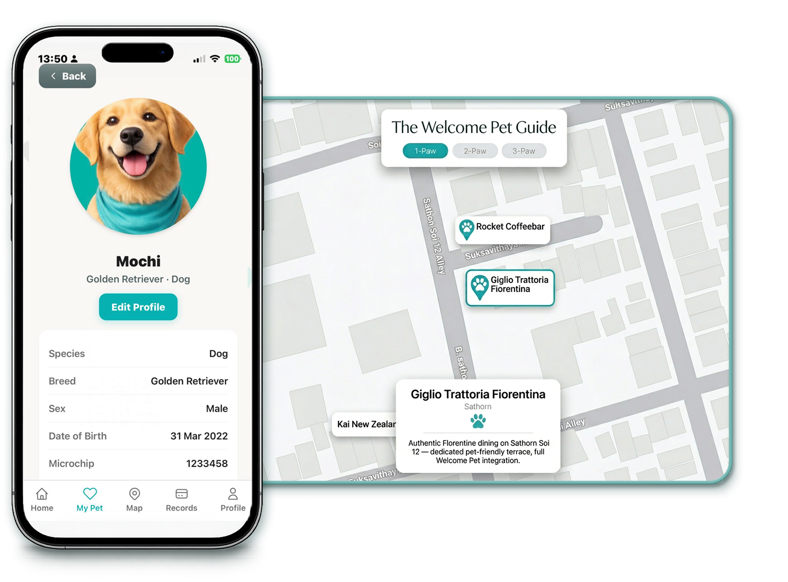 MyPawrtal pet passport preview